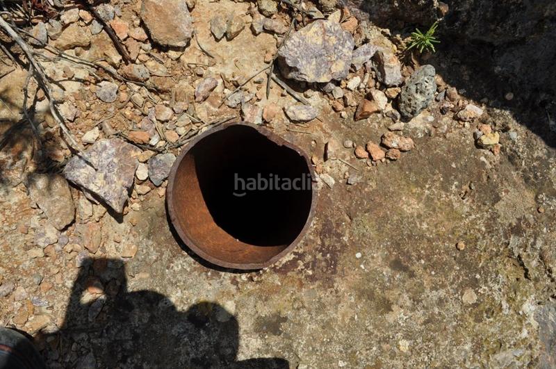 Foto b148bbd1-5365-4924-bbd1-430c6297dc84. Fondo rustico in camí del barranc de la llet 26 in Tortosa