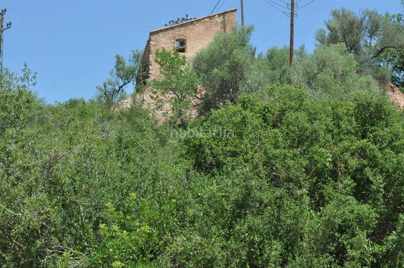 Foto b1f4678b-f4d3-4b5f-9a5a-b19a5c31459e. Fondo rustico in camí del barranc de la llet 26 in Tortosa