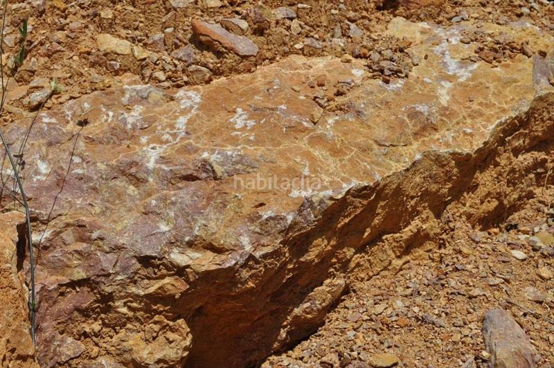 Foto b35d09d8-7539-4972-b374-3ccb7345cae3. Fondo rustico in camí del barranc de la llet 26 in Tortosa