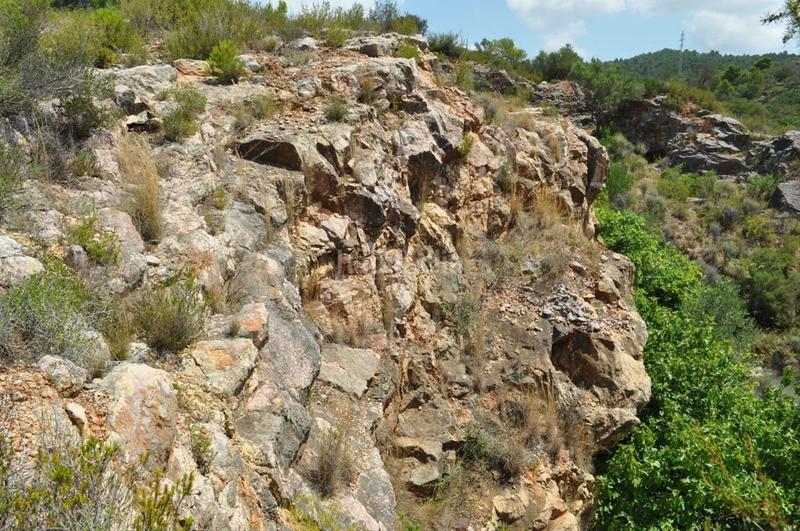 Foto b506e62b-d2b8-4ac2-89e9-53c5166cf1b2. Fondo rustico in camí del barranc de la llet 26 in Tortosa