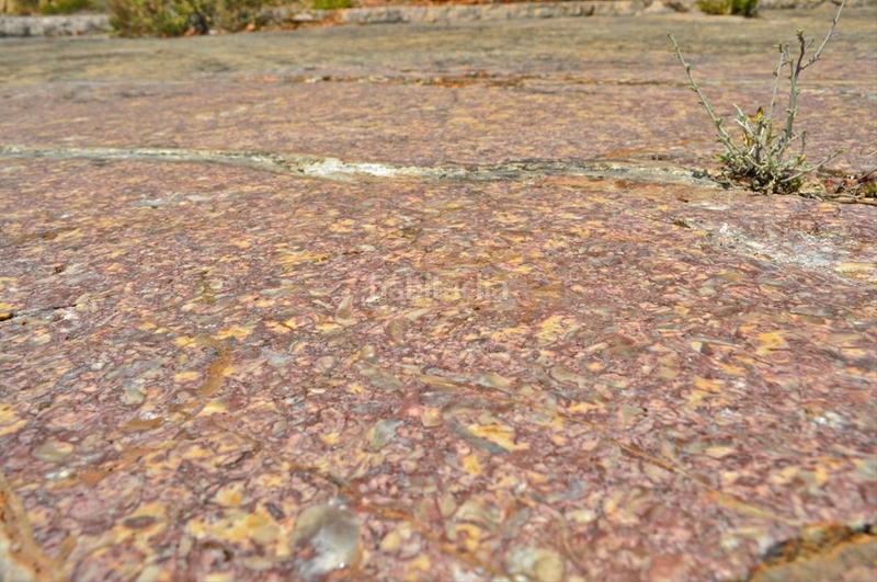 Foto b51e0fc6-8696-40fe-a00d-1b831fbf765a. Fondo rustico in camí del barranc de la llet 26 in Tortosa