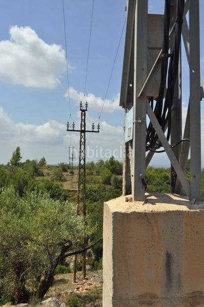 Foto b6bd0ebb-976a-4408-992a-7859876dfecb. Fondo rustico in camí del barranc de la llet 26 in Tortosa