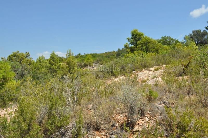 Foto b92e007e-f97a-4f32-be66-0a33c0b79d45. Fondo rustico in camí del barranc de la llet 26 in Tortosa