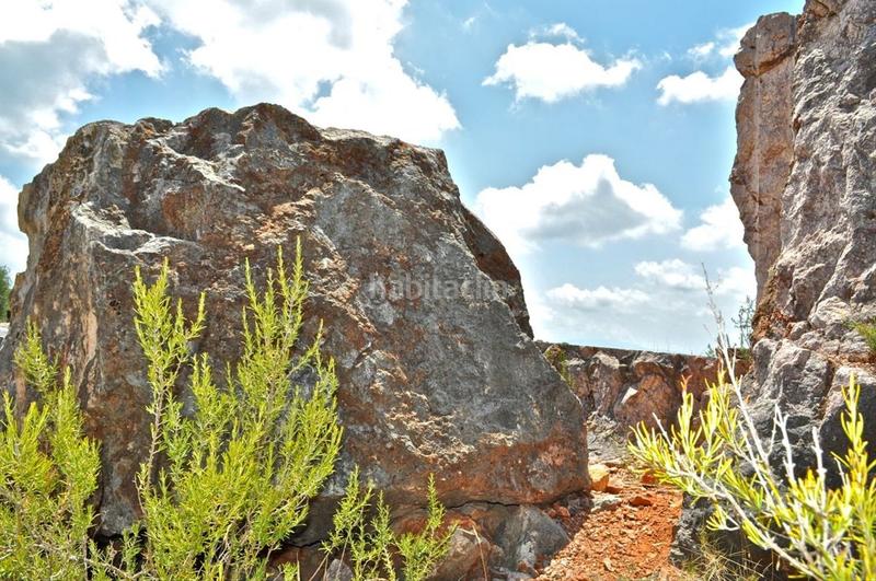 Foto b9889142-a3a6-401a-b4c6-322653ee247f. Fondo rustico in camí del barranc de la llet 26 in Tortosa