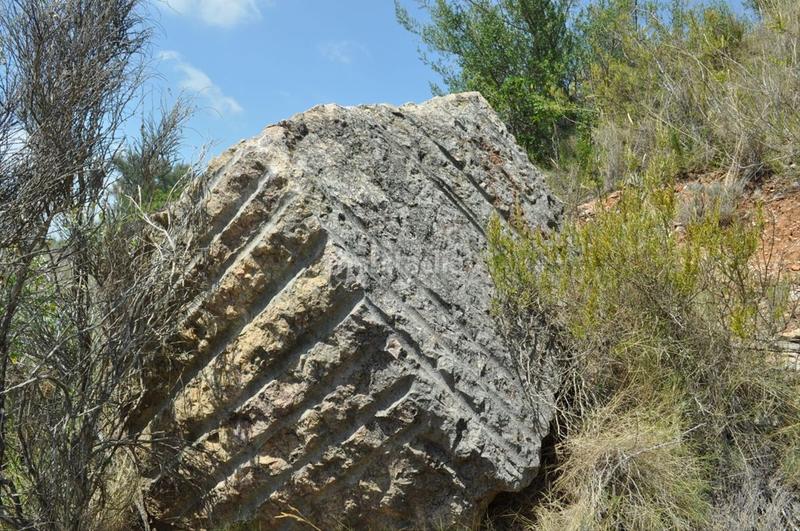 Foto b9ee132d-9591-40f0-8138-5129758a2ed3. Fondo rustico in camí del barranc de la llet 26 in Tortosa