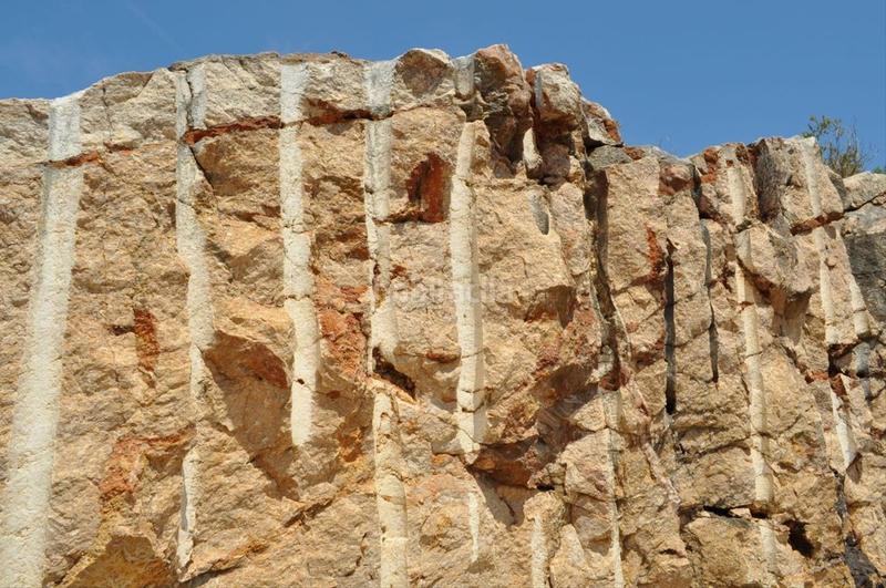 Foto be0f5211-5884-48fc-8775-61b6a56df653. Fondo rustico in camí del barranc de la llet 26 in Tortosa