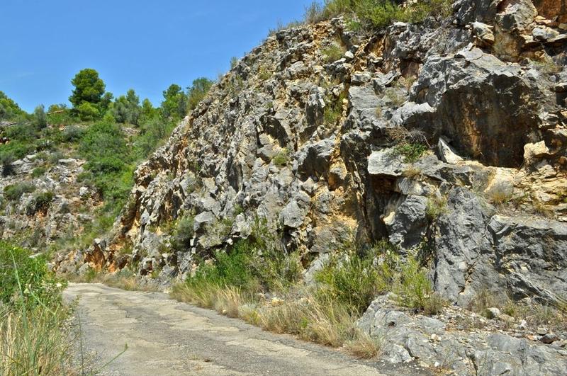 Foto bfbae5b6-5975-4741-97d5-dbf5dca7e921. Fondo rustico in camí del barranc de la llet 26 in Tortosa