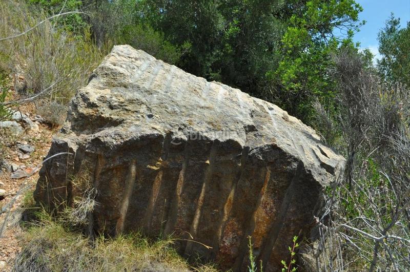 Foto c15f3798-a0d0-4140-8eac-1069f38bf4f0. Fondo rustico in camí del barranc de la llet 26 in Tortosa