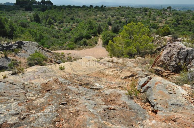 Foto c41837e8-f26f-4616-b579-fe080e957a01. Fondo rustico in camí del barranc de la llet 26 in Tortosa