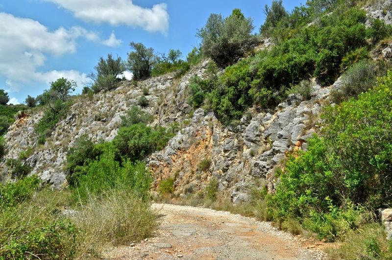 Foto c773444b-9170-4cae-b50b-1a0f5991fafa. Fondo rustico in camí del barranc de la llet 26 in Tortosa