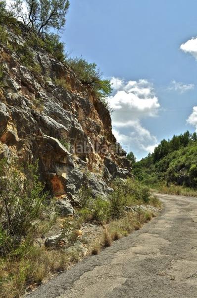 Foto cbd9807b-0344-4d59-828e-d72c5bc2ca38. Fondo rustico in camí del barranc de la llet 26 in Tortosa