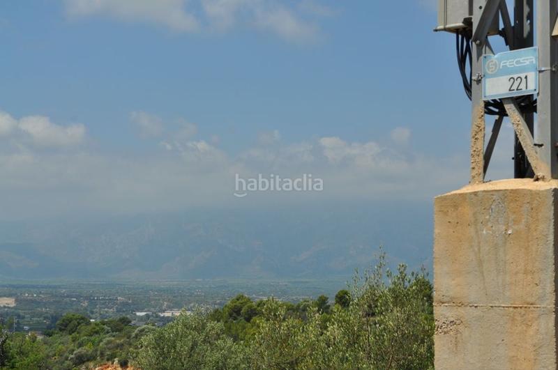 Foto cdaee6c9-4077-4259-84d9-9a67b1fe02d0. Fondo rustico in camí del barranc de la llet 26 in Tortosa