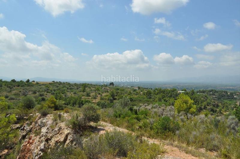 Foto cfa6eb7e-be32-483b-8820-ae90fb6436d3. Fondo rustico in camí del barranc de la llet 26 in Tortosa