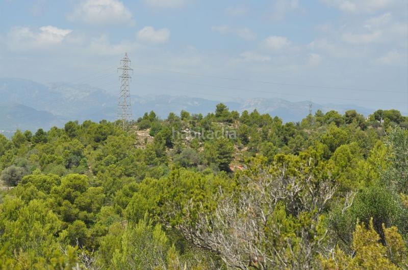 Foto d0eefa02-60c8-4c8f-ad5a-73f8465c2f0e. Fondo rustico in camí del barranc de la llet 26 in Tortosa