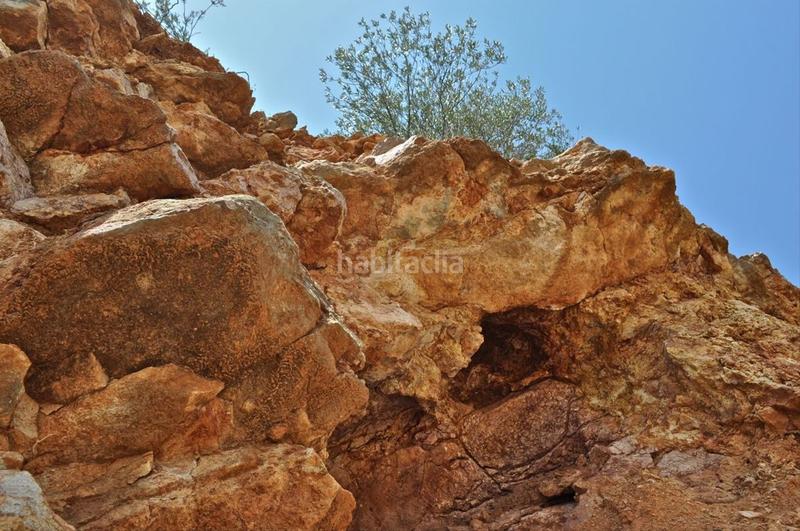 Foto d14832d4-8b31-4ff2-b117-f5add6428f45. Fondo rustico in camí del barranc de la llet 26 in Tortosa