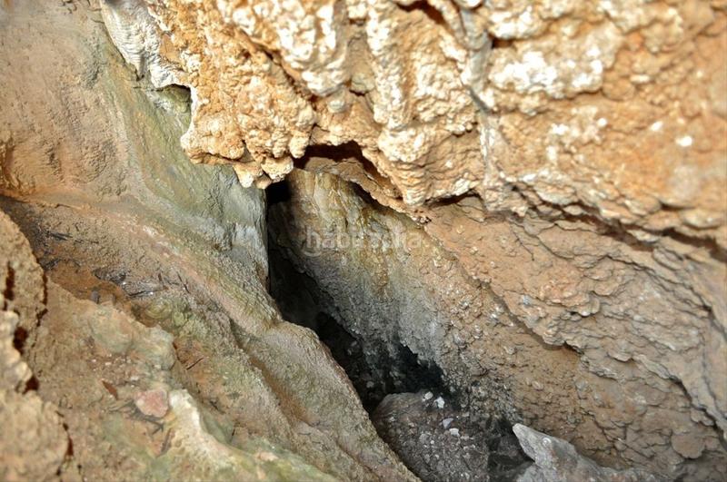 Foto d190d3b4-3f42-48f8-aadc-fae7551c2175. Fondo rustico in camí del barranc de la llet 26 in Tortosa