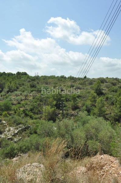 Foto d2c786ec-583e-4a71-9856-42822ab05cba. Fondo rustico in camí del barranc de la llet 26 in Tortosa