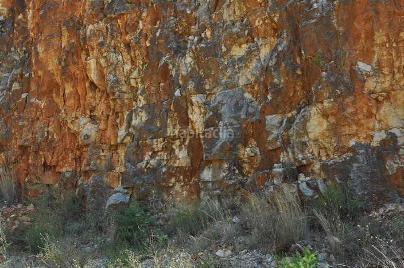 Foto dfa04614-cb5c-409f-a8f9-1824048fb7fa. Fondo rustico in camí del barranc de la llet 26 in Tortosa