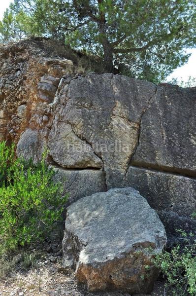 Foto eaec808b-3389-43a9-8694-e55e025df0f0. Fondo rustico in camí del barranc de la llet 26 in Tortosa
