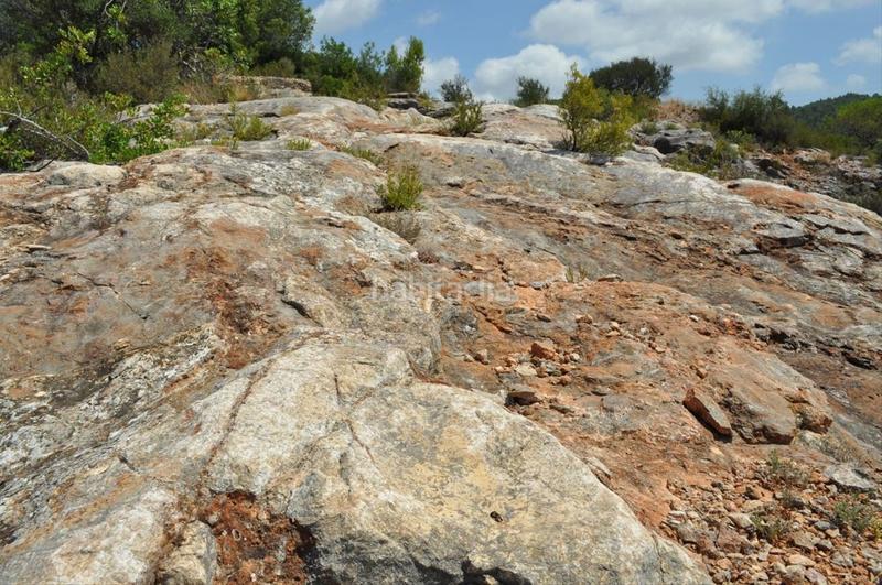 Foto ebb3ad4e-b47f-418c-828a-669a88b84576. Fondo rustico in camí del barranc de la llet 26 in Tortosa