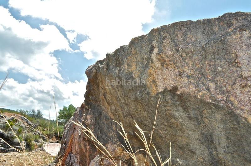 Foto ec116e69-6050-4681-a24c-b647ed26de84. Fondo rustico in camí del barranc de la llet 26 in Tortosa