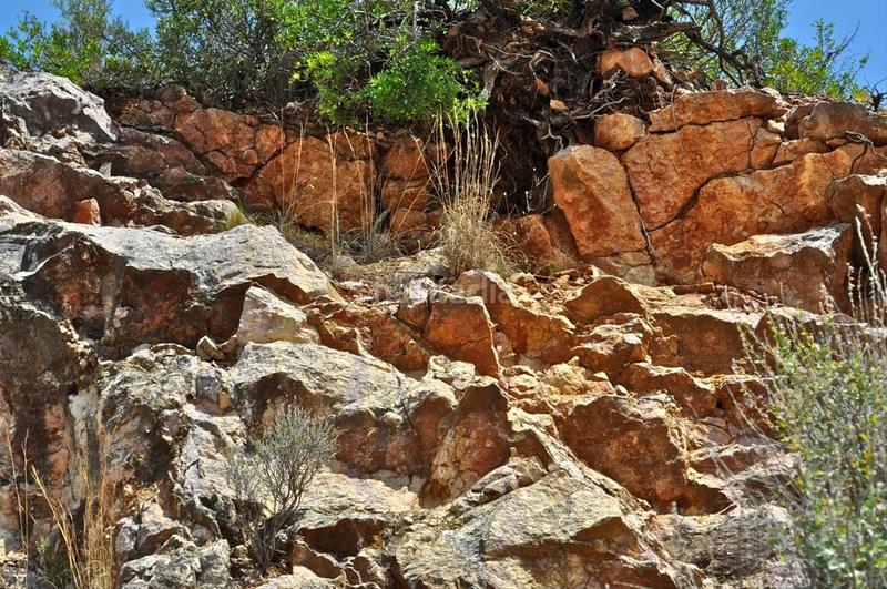 Foto ee29b15d-2d3b-45a6-ace4-760d698d20fa. Fondo rustico in camí del barranc de la llet 26 in Tortosa