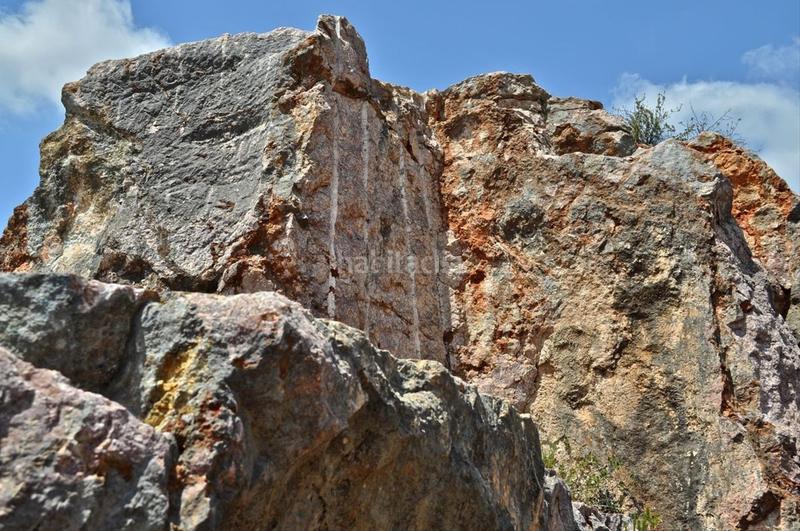 Foto f0c9f186-9e3b-4d68-9b2c-a16dfb402bfb. Fondo rustico in camí del barranc de la llet 26 in Tortosa