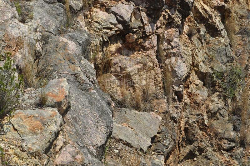 Foto f436bbe9-e563-47b4-9ee4-dbdc523ca0e7. Fondo rustico in camí del barranc de la llet 26 in Tortosa