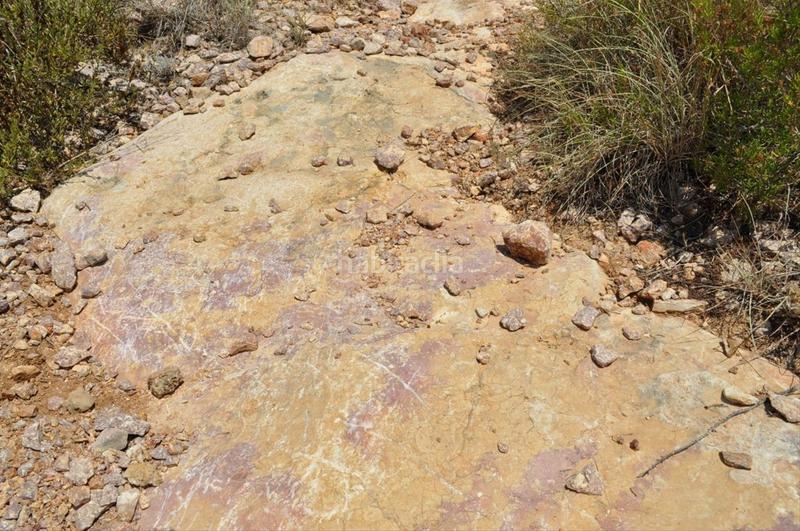 Foto f7515352-3bcb-43cd-bd03-2f69864272b3. Fondo rustico in camí del barranc de la llet 26 in Tortosa