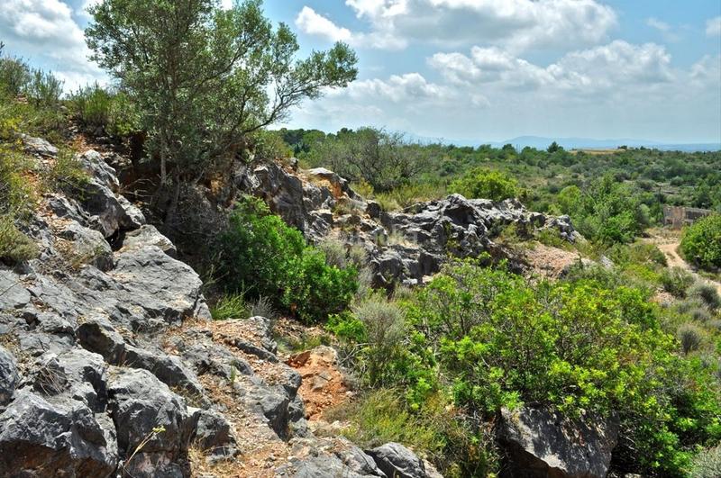 Foto f785eb48-b0b8-459c-8cff-d42fca9fc5b1. Fondo rustico in camí del barranc de la llet 26 in Tortosa
