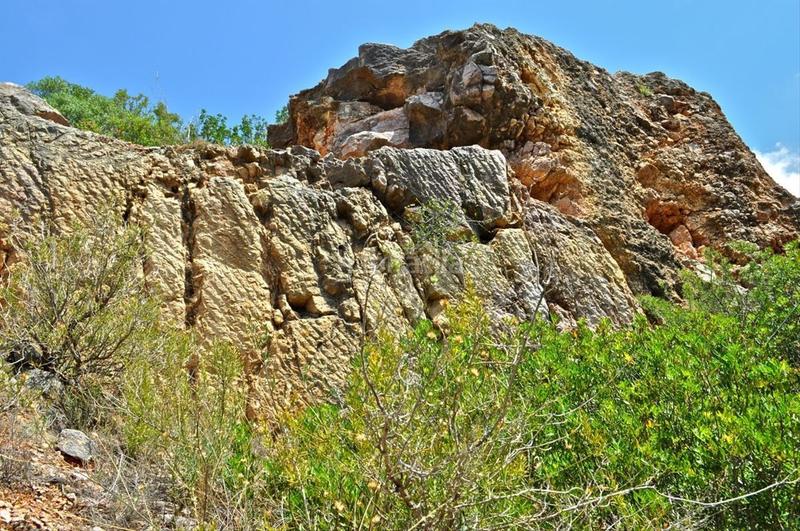 Foto f93fd98a-a9db-496b-bab3-c6f7b18d6220. Fondo rustico in camí del barranc de la llet 26 in Tortosa