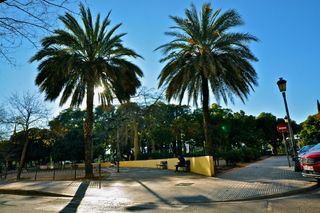 Local Comercial en Carrer del ceramista ros 18. Insonorizado paredes y techos