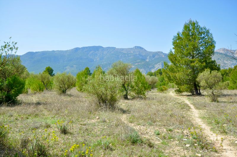 Foto 0de3964e-6f17-4b17-ba91-93757c71ecc0. Terreno residencial l'arpella, , suelo urbanizable, posibilidad de 89 viviendas unifamiliares en Muro de Alcoy
