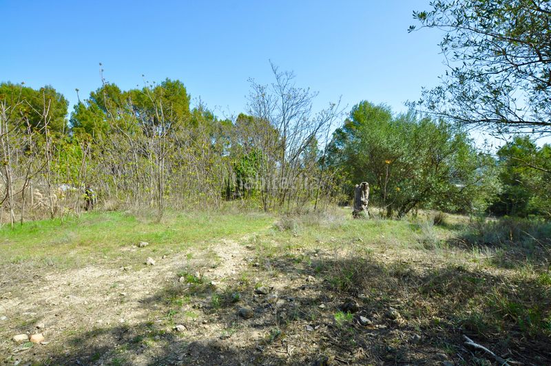 Foto 60f01a85-8487-4768-8a60-762e93f9075b. Terreno residencial l'arpella, , suelo urbanizable, posibilidad de 89 viviendas unifamiliares en Muro de Alcoy
