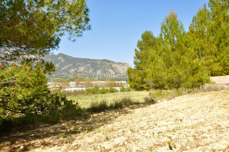 Foto a6fd8dda-62a5-4271-9459-8ba8dfe428f8. Terreno residencial l'arpella, , suelo urbanizable, posibilidad de 89 viviendas unifamiliares en Muro de Alcoy