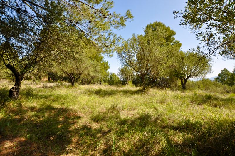 Foto b73816c0-09be-48cb-9a16-5b9fb9853687. Terreno residencial l'arpella, , suelo urbanizable, posibilidad de 89 viviendas unifamiliares en Muro de Alcoy