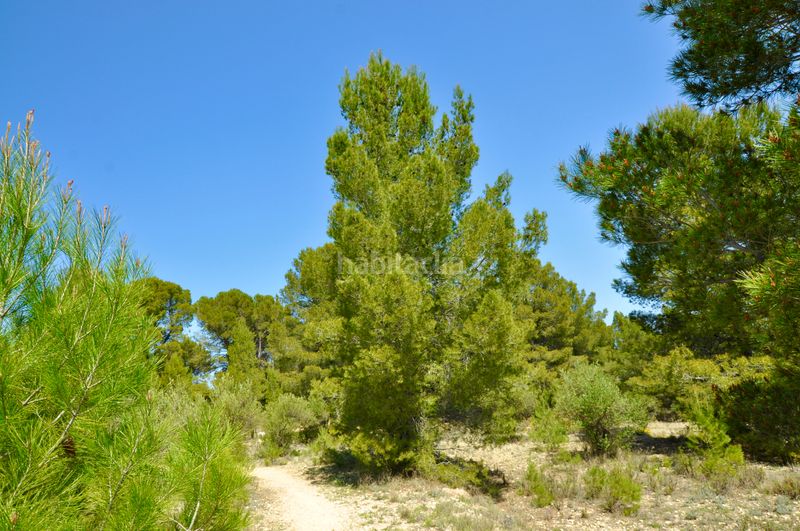Foto d1a7c8e8-59d6-4b0e-bbd7-958caa3c0f0b. Terreno residencial l'arpella, , suelo urbanizable, posibilidad de 89 viviendas unifamiliares en Muro de Alcoy