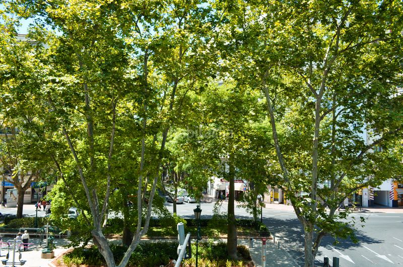 Apartamento en carrer de juan de mena 29 piso en chaflan fernando el catolico frente colegio jesus y maria en Valencia - Imagen 28