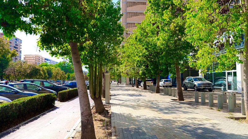 Foto ef4d54e6-a055-4abf-a436-3d2bcdf5c682. Pis a Ciutat Jardí Valencia