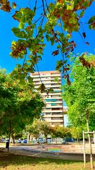 Apartament a Avinguda de blasco ibáñez 84. Apartamento junto universidades tarongers y playas