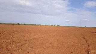 Finca rústica en Calle cardenal segura 1. Gran finca rustica