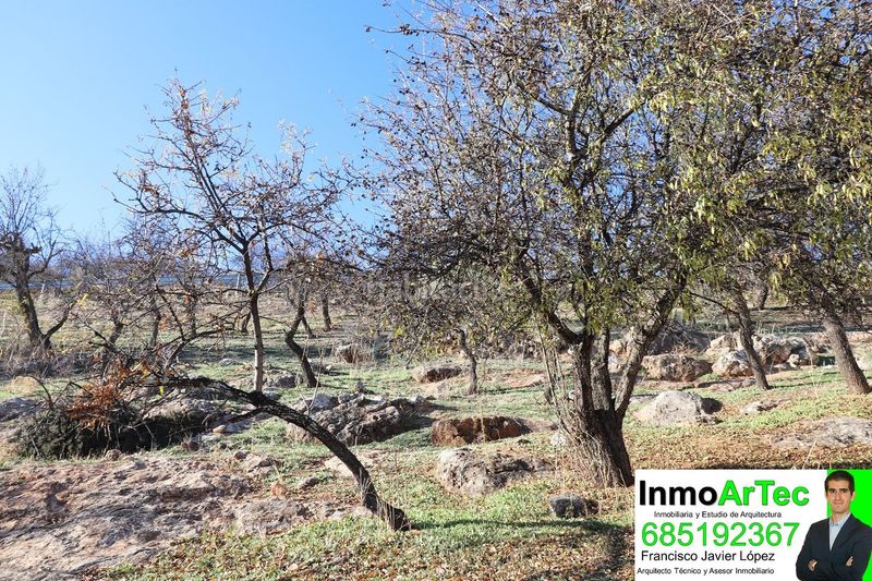Foto bd7db1ef-a8a8-4289-9b5f-4fc177b38f48. Residential plot in lugar barranco de la canela 123 in Íllora