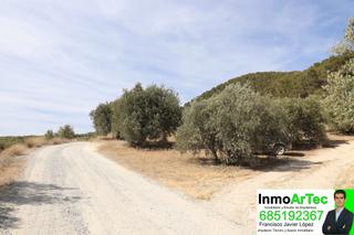 Rural plot in Avenida rodríguez de la fuente de íllora 50