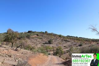Finca rústica en Íllora