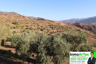 Landgut in Pinar (El)