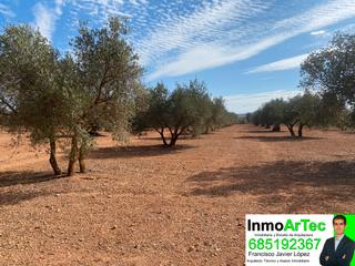 Finca rústica en Íllora