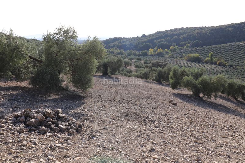 Foto 605fcbfa-1119-4bfb-97f4-6d065b48aa20. Finca rústica a n/a a Íllora