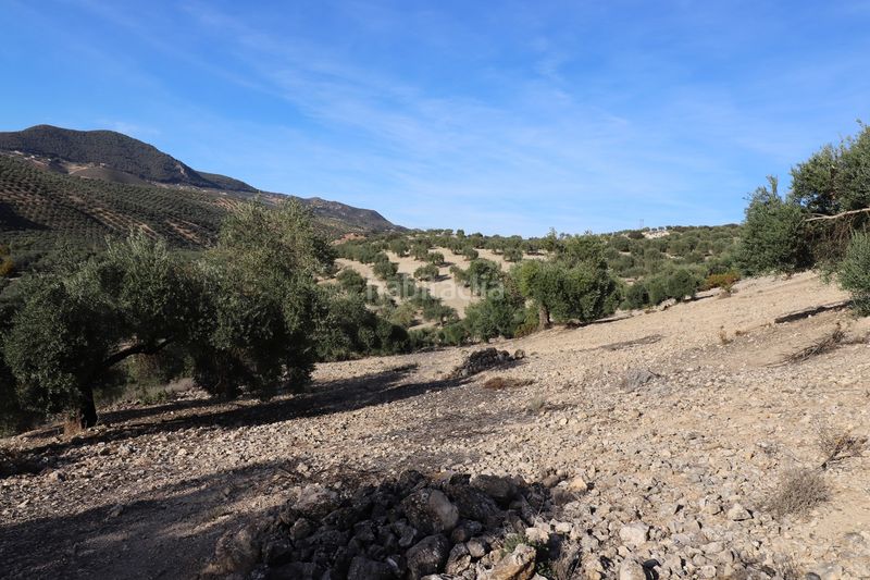 Foto 708550d1-d953-48d3-966f-5b5751f2290d. Finca rústica a n/a a Íllora