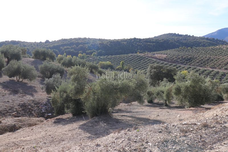Foto dc67dbe1-52cf-475d-848d-66995550b345. Finca rústica a n/a a Íllora