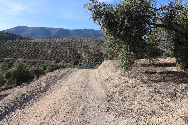 Foto 4f64f354-d2c0-4730-8f78-02fadf7ef244. Finca rústica en n/a en Íllora